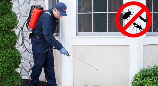 Bahşili Böcek İlaçlama böcek ilaçlama ve haşere kontrolü — ilaclama-tr.com
